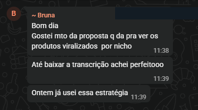 Depoimento de Bruna no WhatsApp sobre modelar produtos virais por nicho
